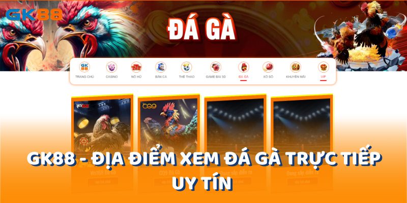 Gk88 - địa điểm xem đá gà trực tiếp uy tín trên thị trường cược gà